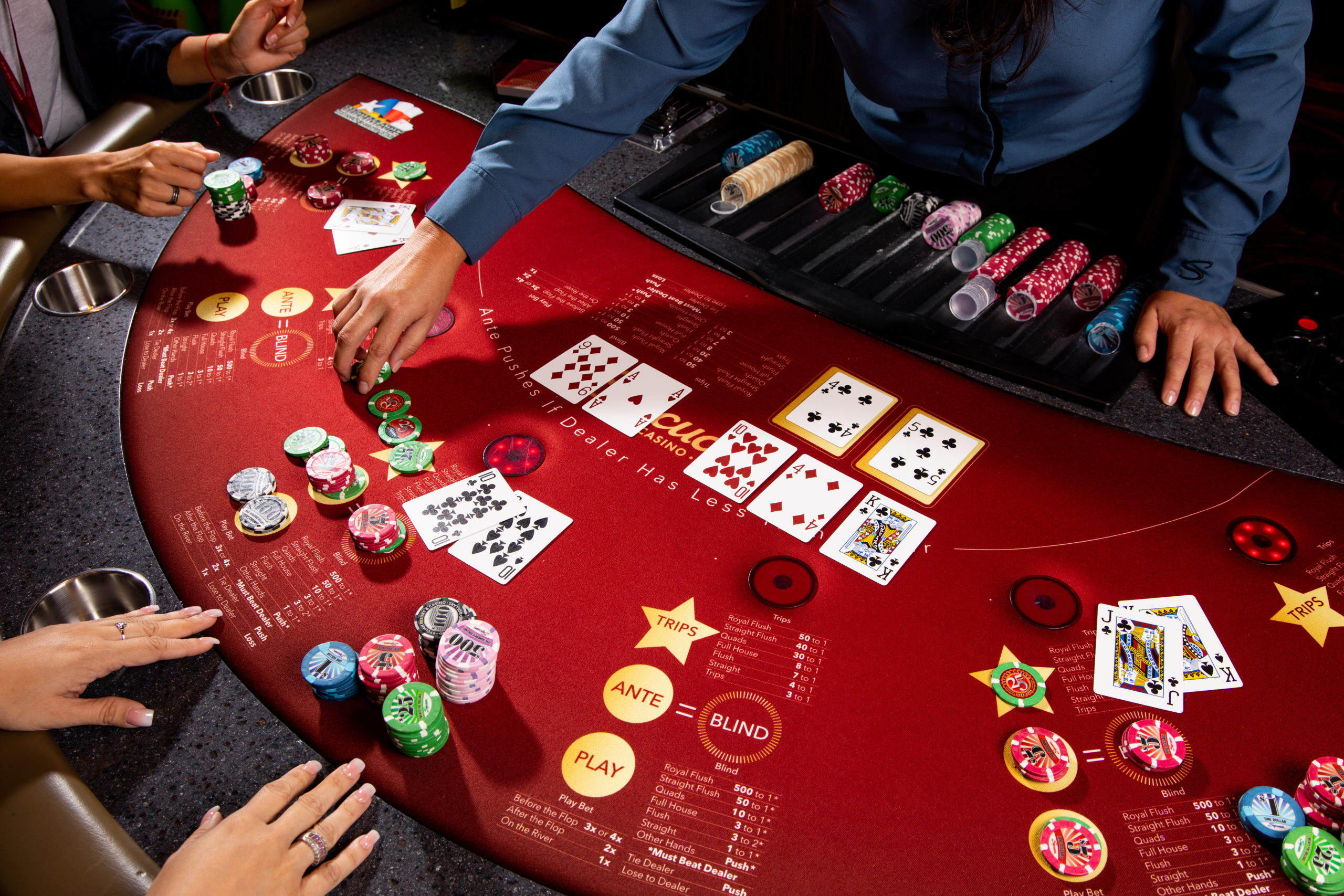 Vinci Spin propose un divertissement moderne et dynamique